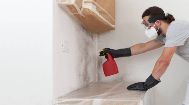 Professional Mold Removal technician working in Akron, PA